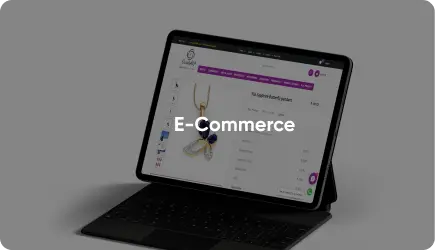 Custom e-commerce solutions by Xaltam